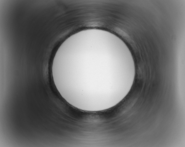 X0000089850535200707191904