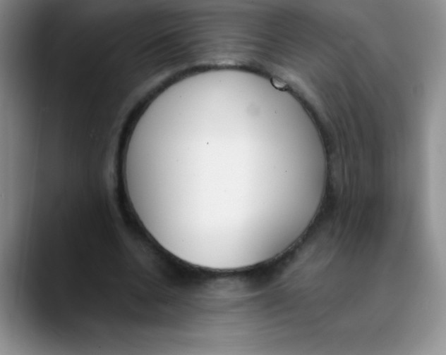 X0000089850536200707191904