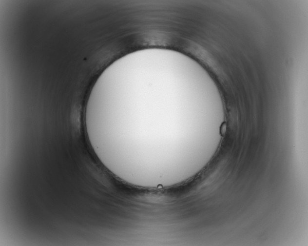 X0000089850537200707191904