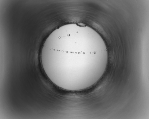 X0000089850538200707191904