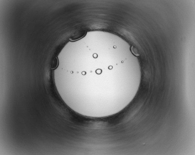 X0000089850539200707191904