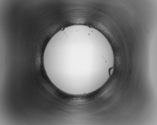 X0000089850541200707191904