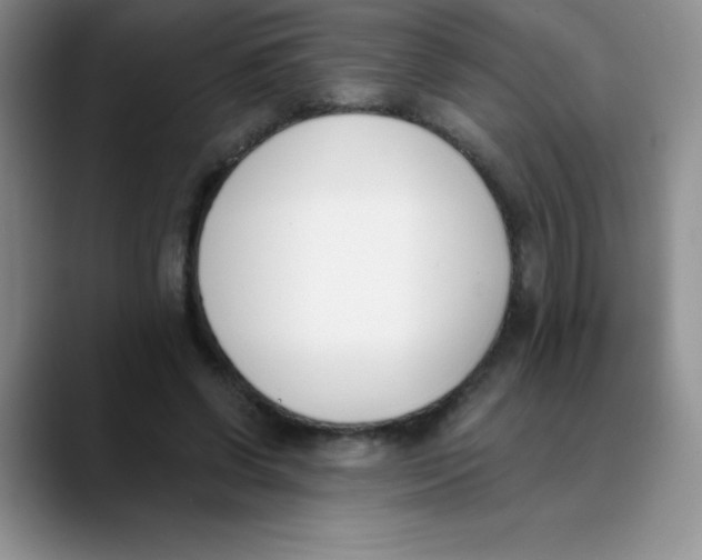 X0000089850542200707191904