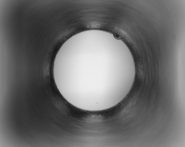 X0000089850543200707191904