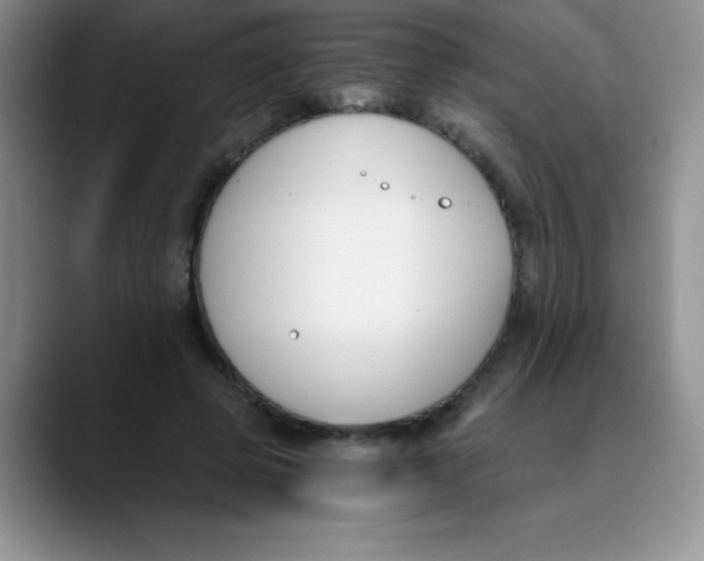 X0000089850545200707191904