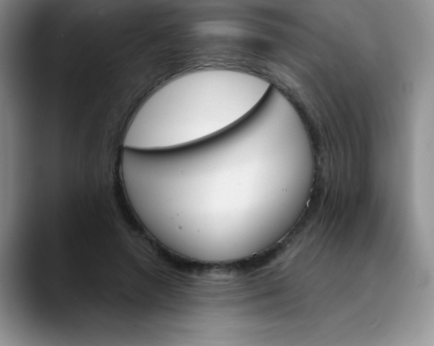 X0000089850546200707191904