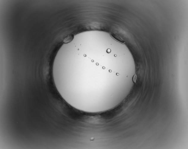 X0000089850548200707191904