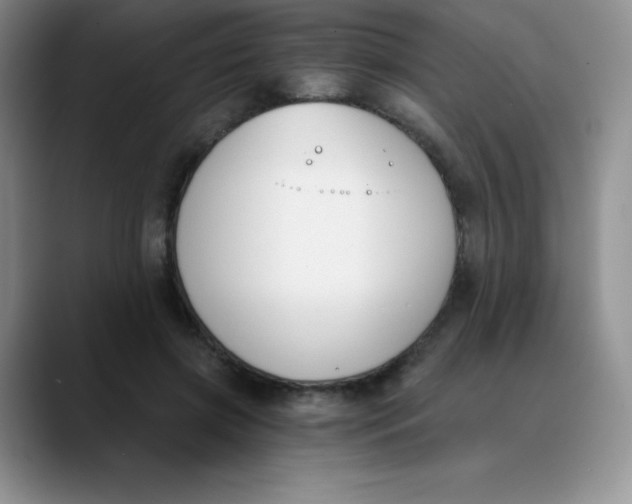 X0000089850549200707191904