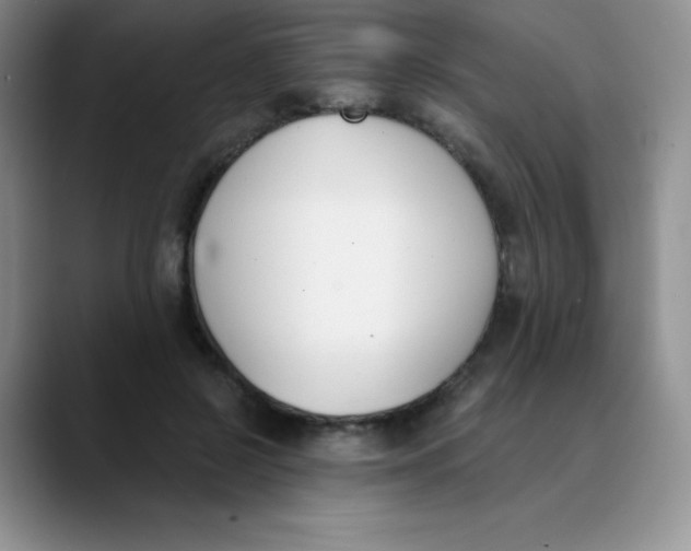 X0000089850550200707191904