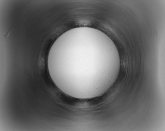 X0000089850551200707191904