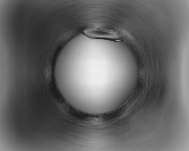 X0000089850552200707191904