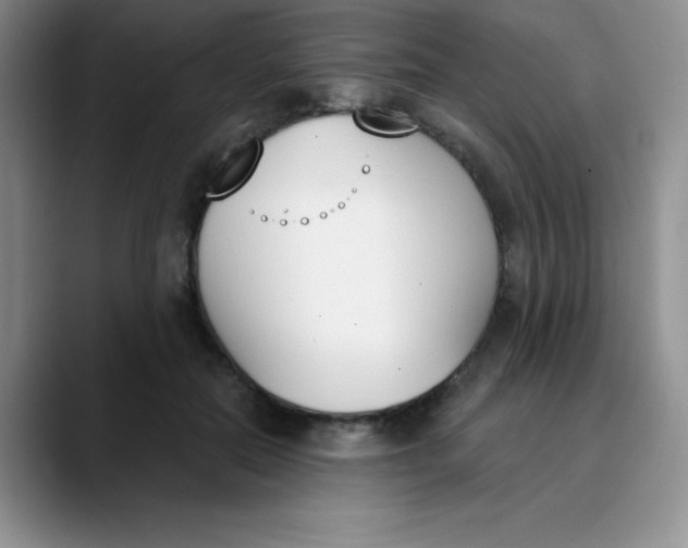 X0000089850554200707191904