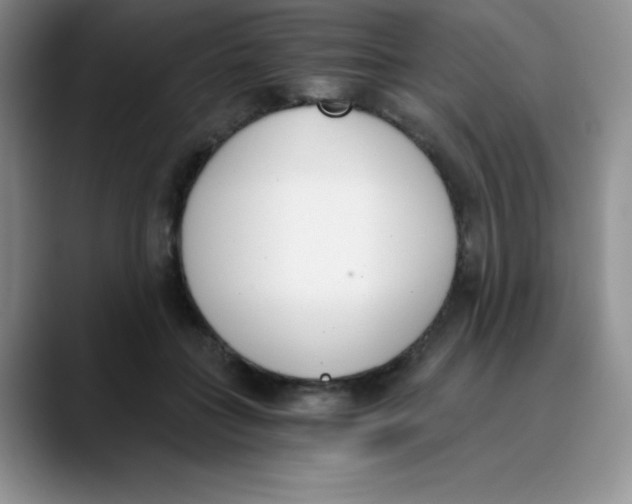 X0000089850555200707191904