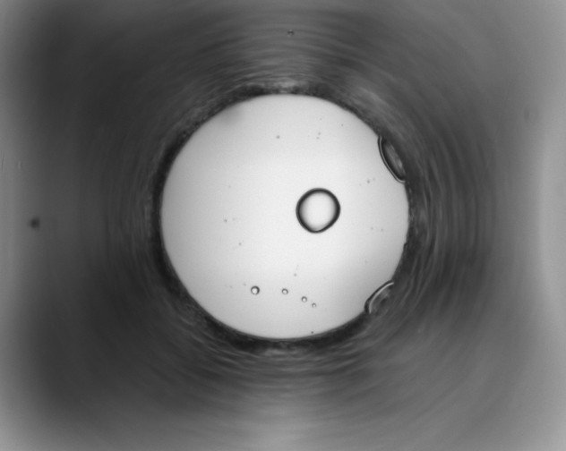 X0000089850556200707191904