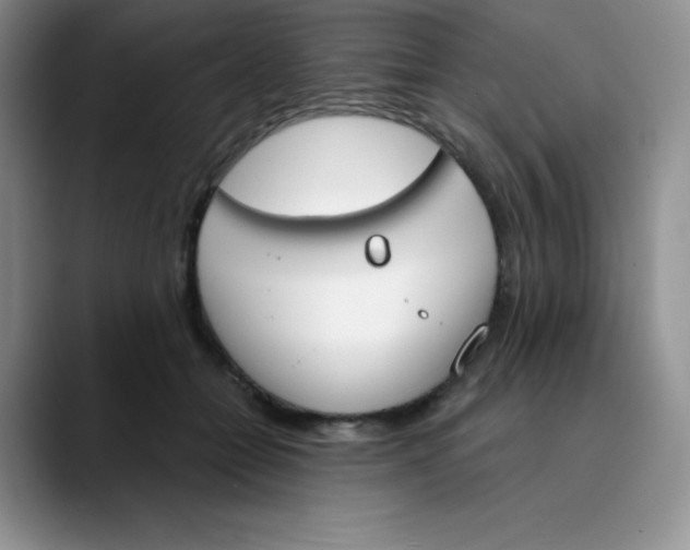 X0000089850558200707191904