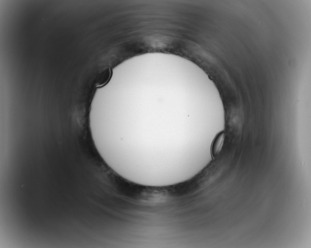 X0000089850559200707191904