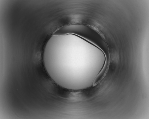 X0000089850560200707191904