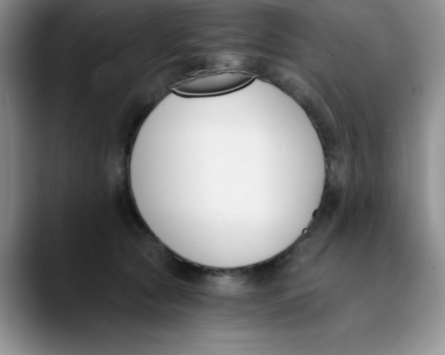 X0000089850561200707191904