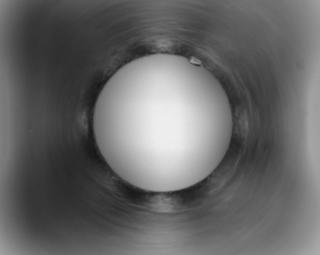 X0000089850562200707191904