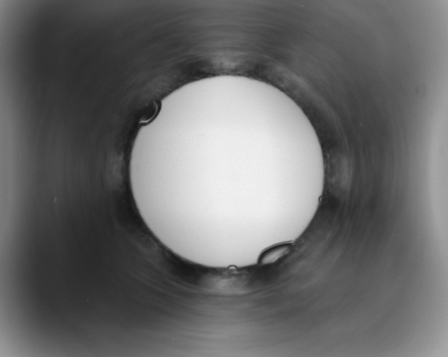 X0000089850563200707191904