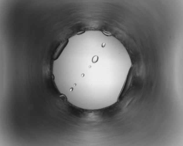 X0000089850564200707191904