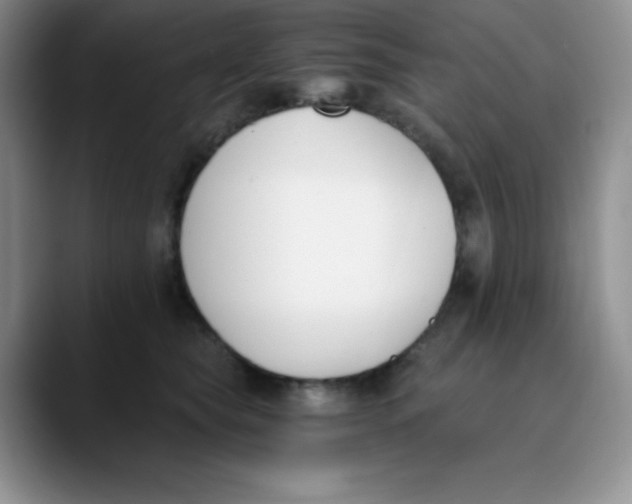 X0000089850565200707191904