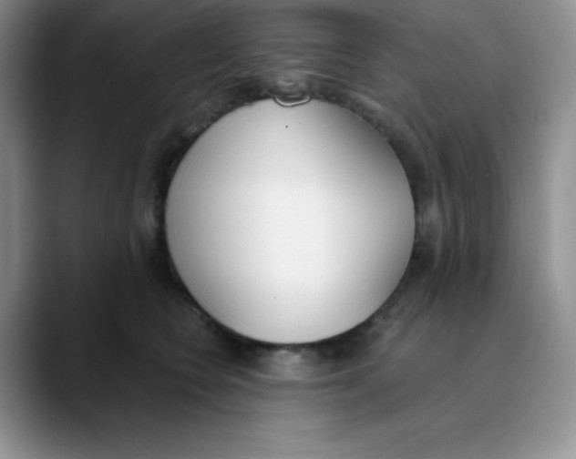 X0000089850566200707191904