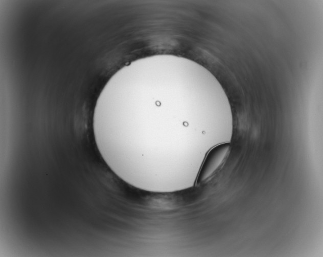 X0000089850567200707191904