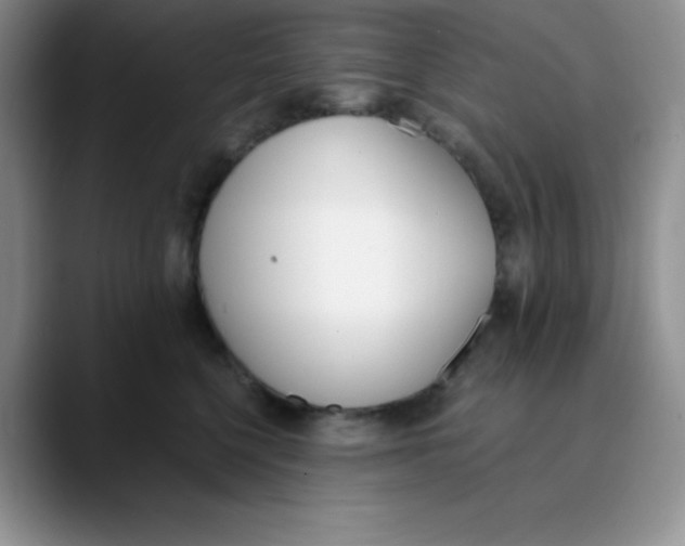 X0000089850568200707191904