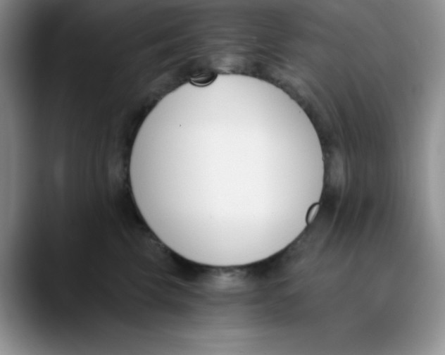 X0000089850569200707191904