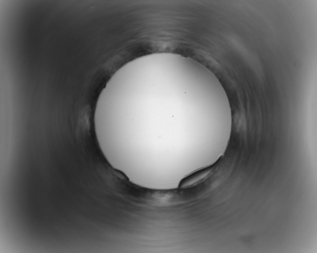 X0000089850570200707191904