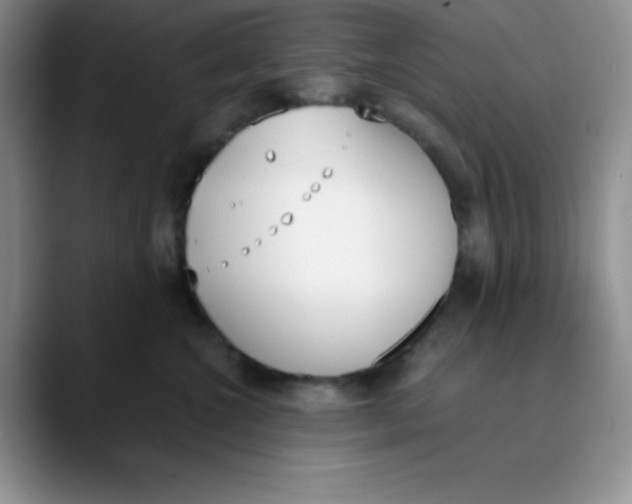 X0000089850572200707191904