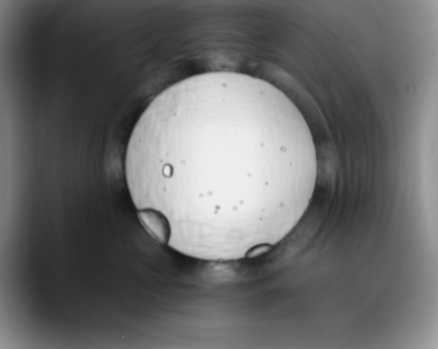 X0000089850573200707191904