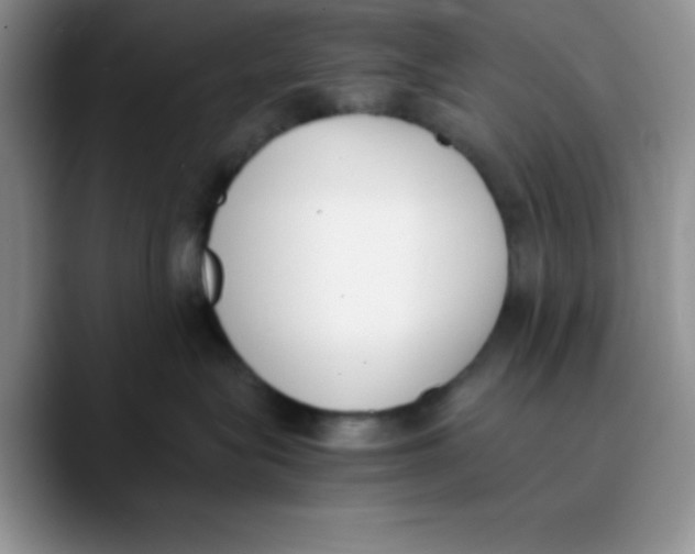 X0000089850575200707191904