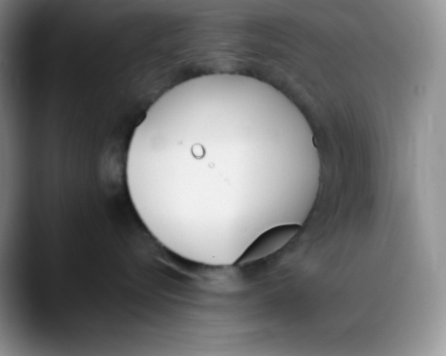 X0000089850576200707191904