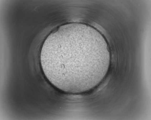 X0000089850577200707191904