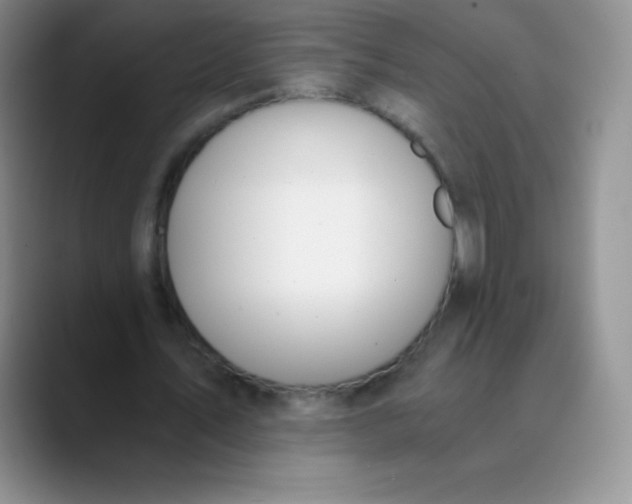 X0000089850579200707191904