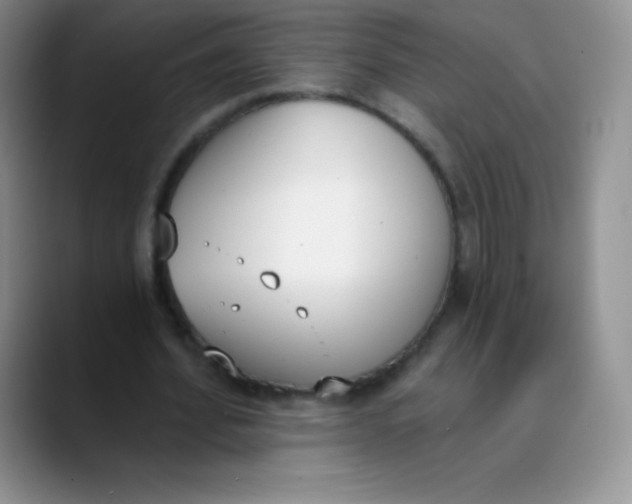 X0000089850580200707191904