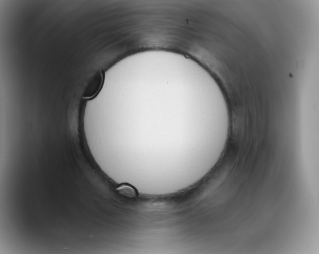 X0000089850581200707191904