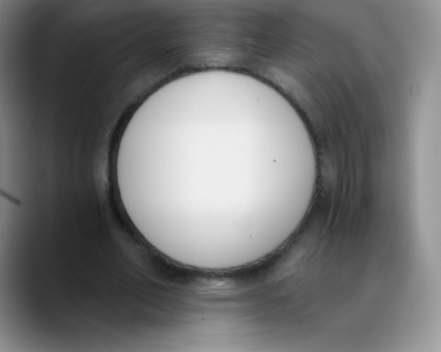 X0000089850582200707191904