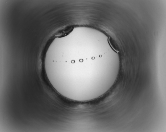 X0000089850584200707191904