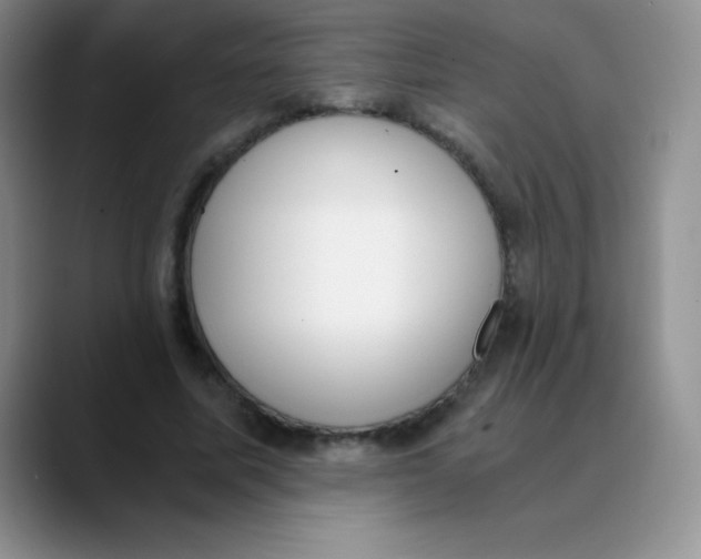 X0000089850587200707191904