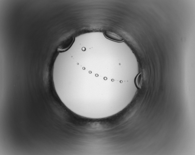 X0000089850588200707191904