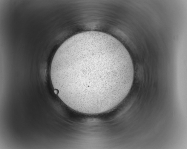 X0000089850590200707191904