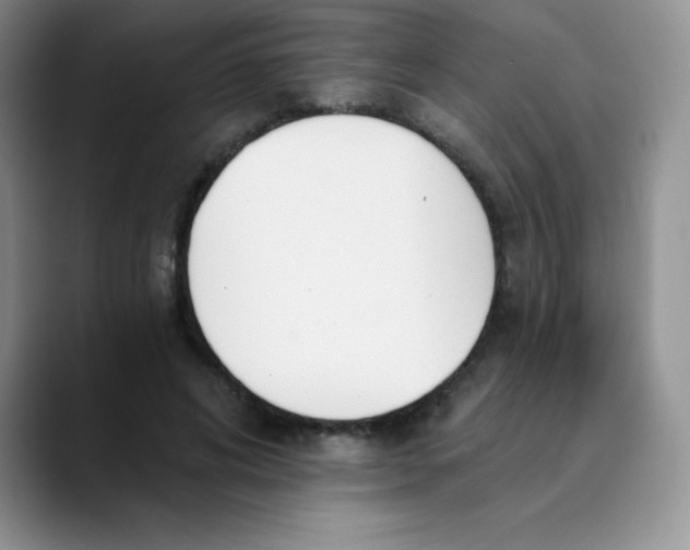 X0000089850592200707191904