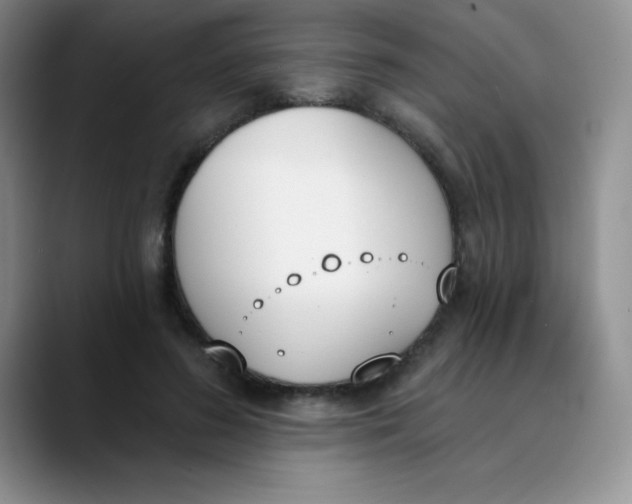 X0000089850596200707191904