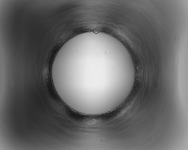 X0000089850597200707191903