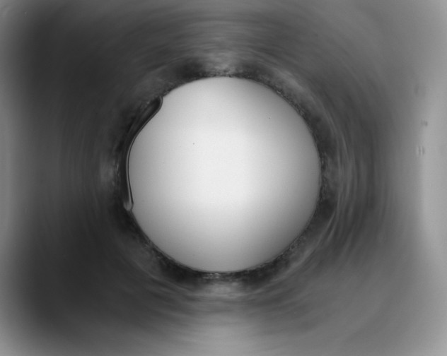 X0000089850601200707191903