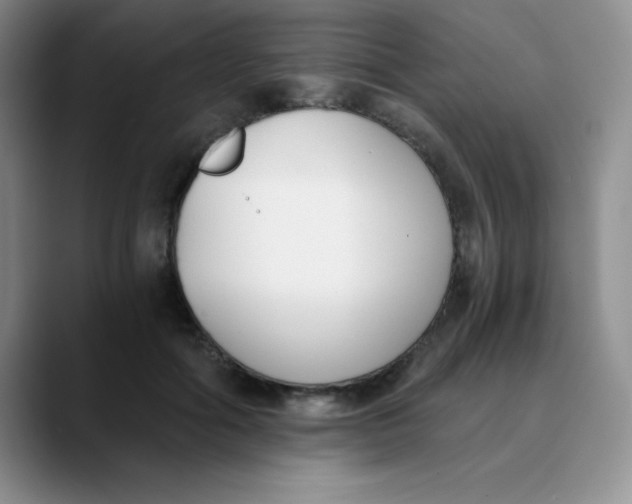 X0000089850602200707191903