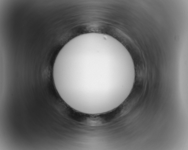 X0000089850603200707191903